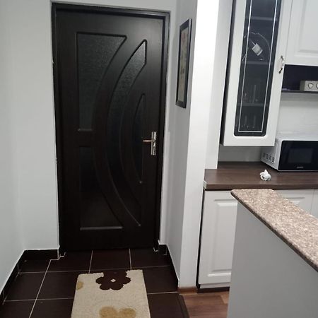 Penti Apartament Сучава Экстерьер фото