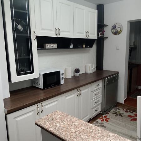 Penti Apartament Сучава Экстерьер фото